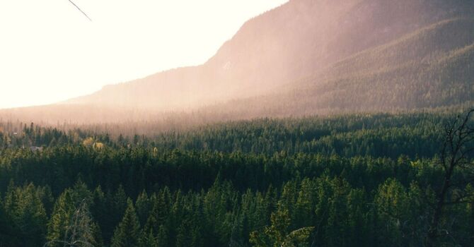 Trauma Informed Yoga with Andra Aitken