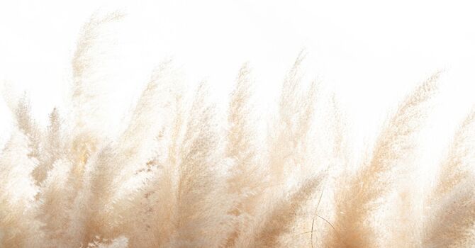 How Treating  Sleep Apnea Reduced My Anxiety image