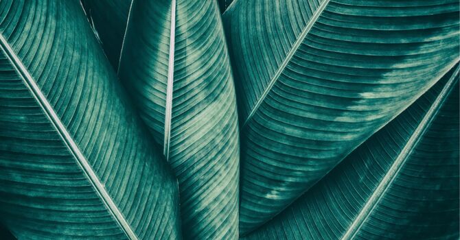 Couples Counseling with Andra Aitken