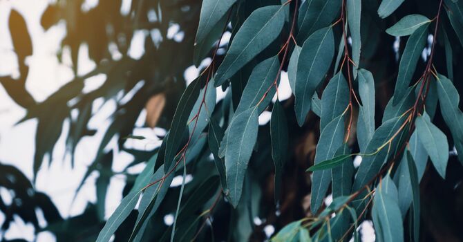 How Treating My Sleep Apnea Significantly Reduced My Anxiety image